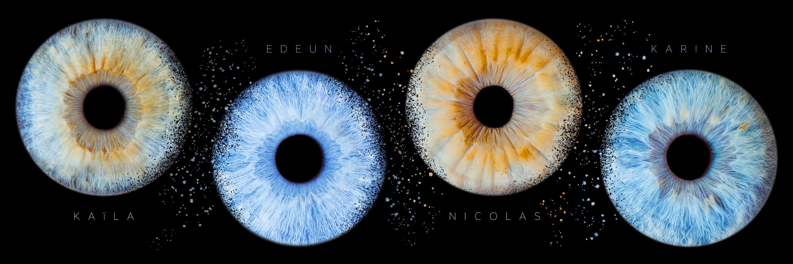 Iris famille nicolas